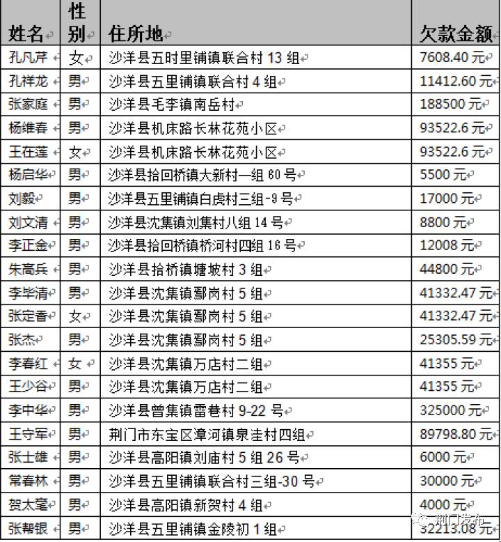 荆门最新老赖排行深度探讨