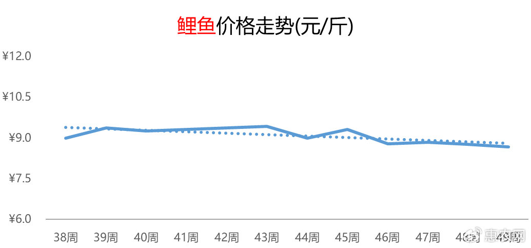 最新鲤鱼价格走势及分析