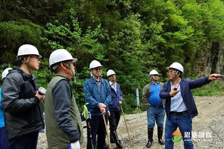 惠阳沙田最新投资动态🌟