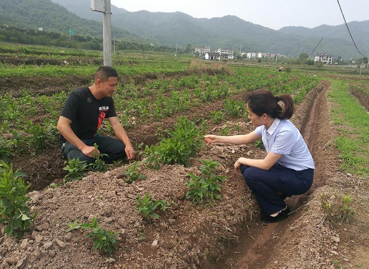 东阳人才市场最新招聘启航，职业新征程等你来挑战！