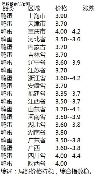 最新鸭蛋价格探索，小巷深处的鸭蛋情缘揭秘