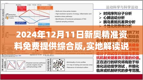 2024新奥精准正版资料,最佳精选解释落实_领航版24.632