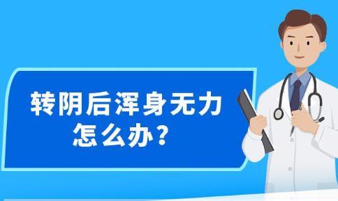 新澳精准资料免费提供603期,决策资料解释落实_ChromeOS64.459