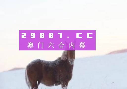 新澳门4949正版大全,数据驱动计划设计_Windows63.117