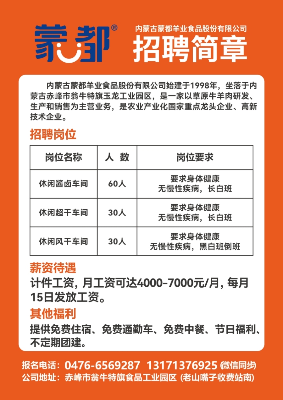 石家庄最新招聘网站，科技引领招聘新纪元，开启人才招聘新时代