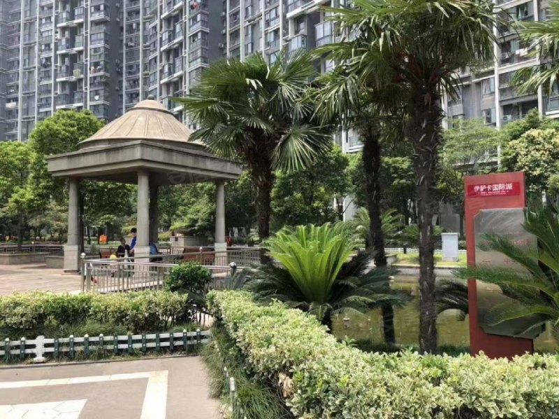 杭州伊萨卡最新房价，探寻内心平静的居住之旅
