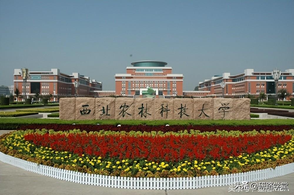 西北农大时代浪潮下的蓬勃发展最新消息