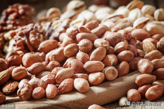 安徽花生米最新价格，种子成长之路与自信之路的交汇点