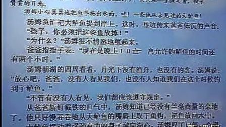 最新小学语文说课视频