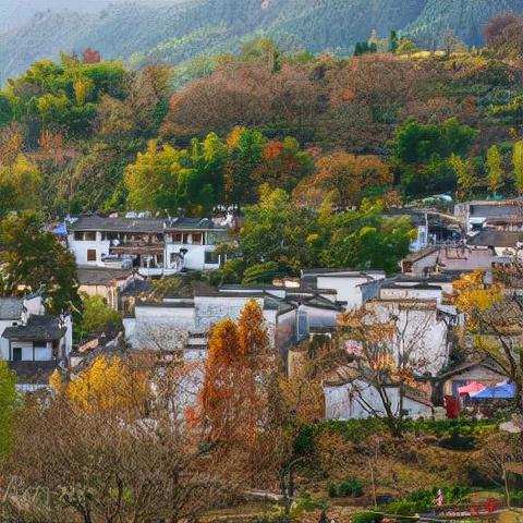 最新黄山北站时刻表