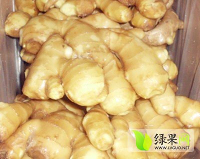 安丘生姜最新价格及自然美景探索之旅