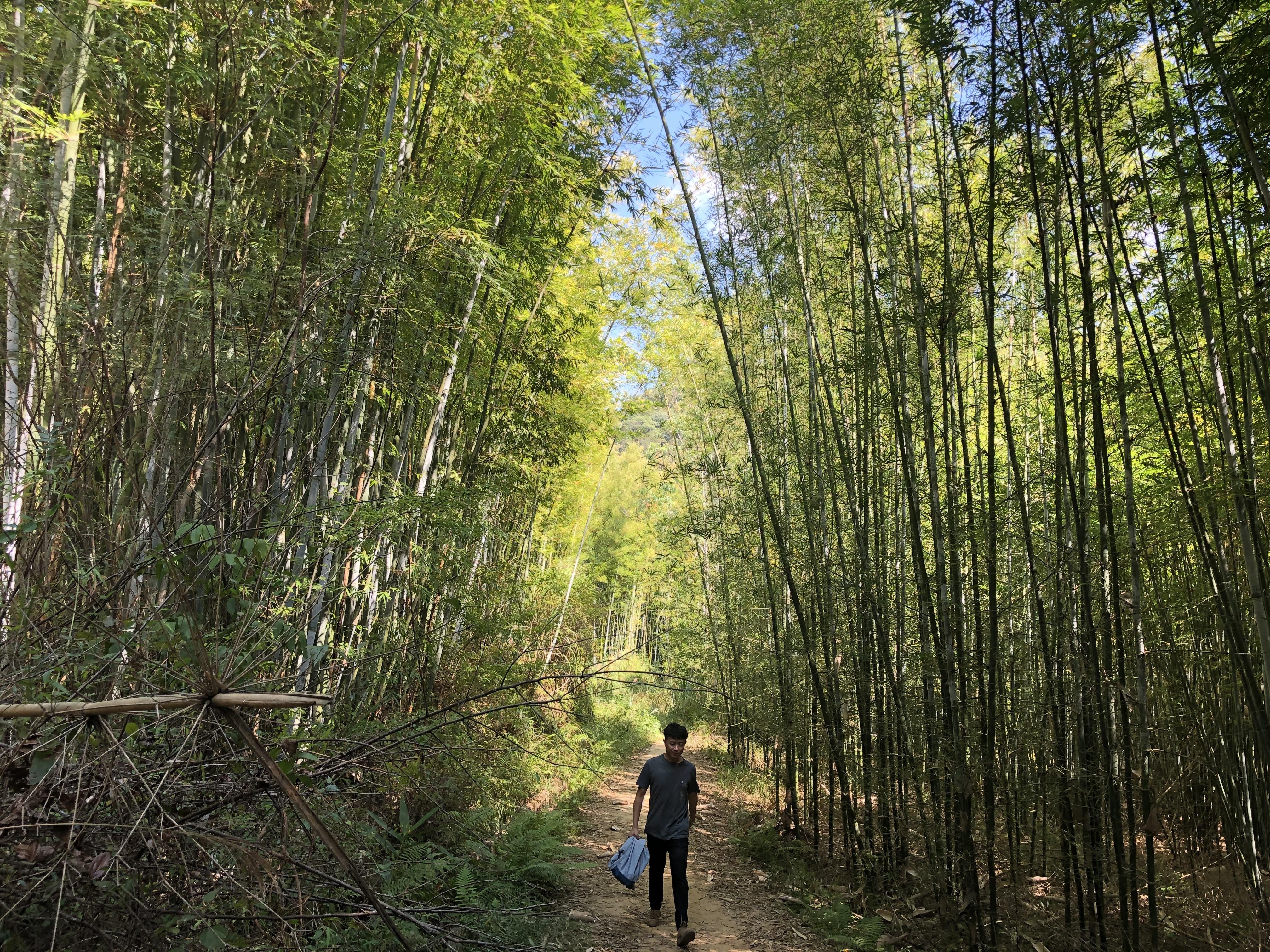 芦泰大桥迈向未来，最新进展动态揭秘雄伟建筑风采