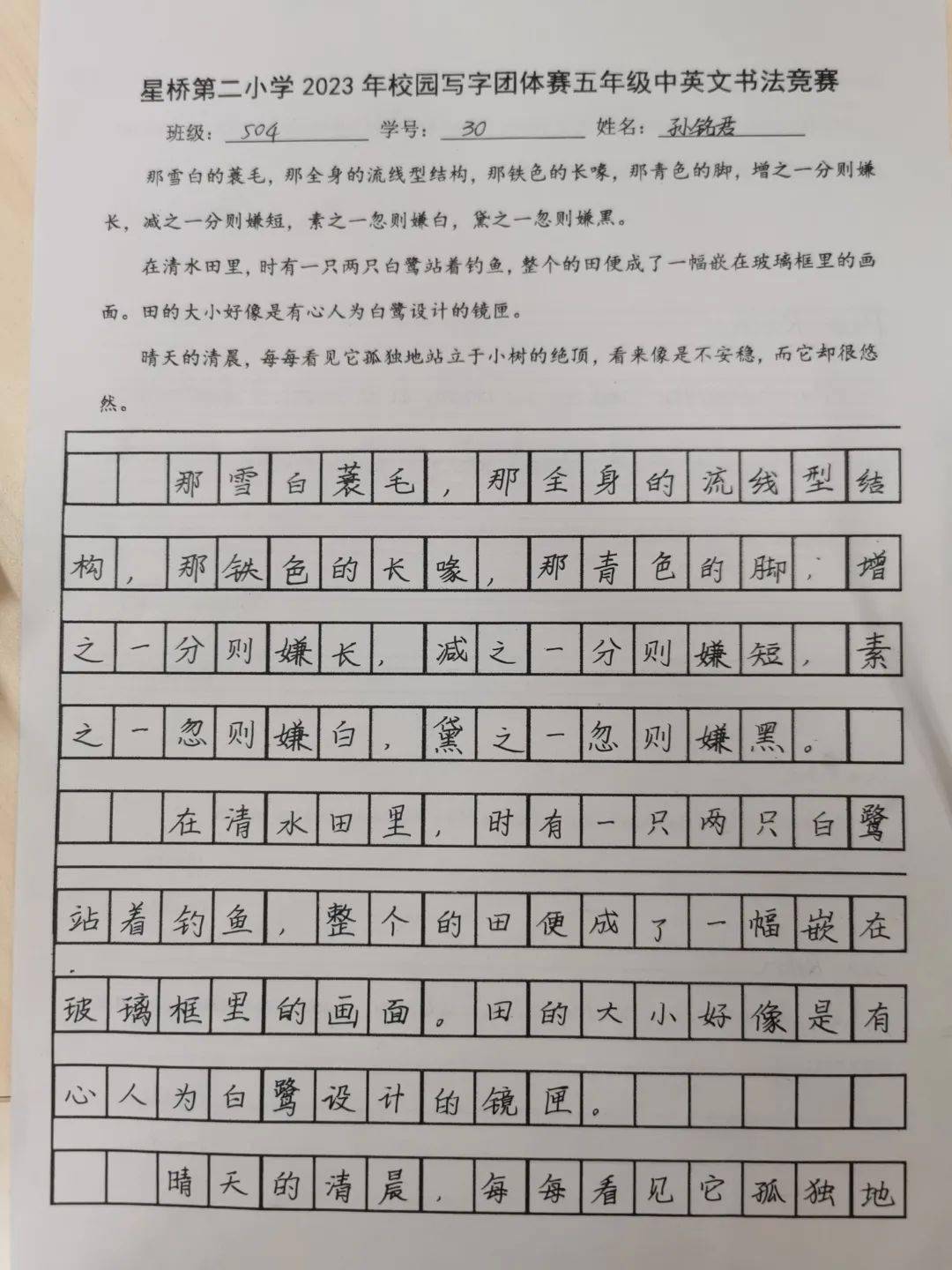 巷弄深处的文字盛宴，一场精彩的写字比赛纪实