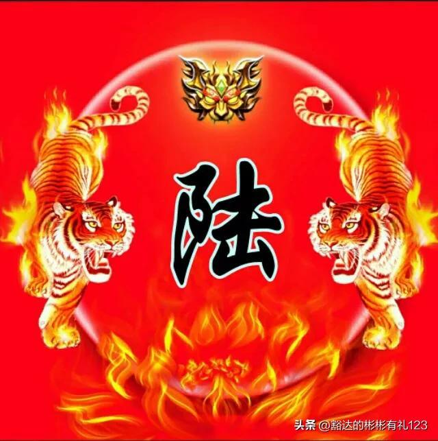 最新虎图大全，精选图片呈现