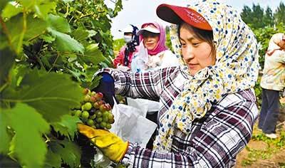 乌海上市公司的日常趣事与点滴风采
