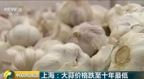 上海大蒜价格最新行情,上海大蒜价格最新行情论述