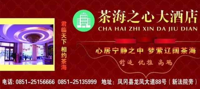 阆中最新招聘信息汇总，今日岗位更新与观点论述