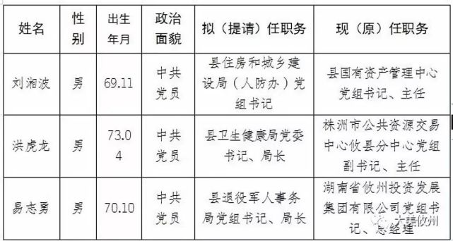 攸县最新官员任免决定详解与指南