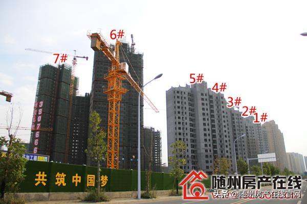 随园嘉墅最新动态揭秘，多方观点与个人立场深度透视