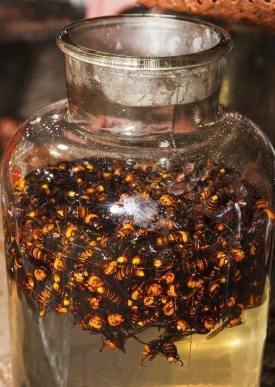 云南大蒜最新价格概览